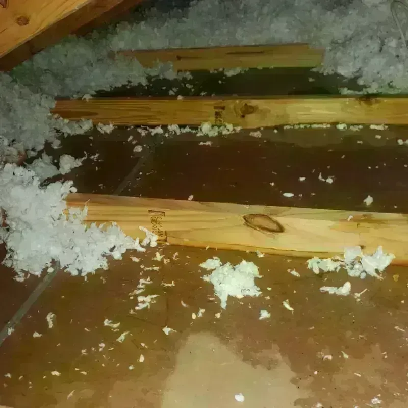 Attic Water Damage in Chetek, WI