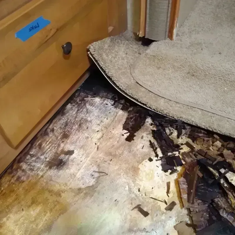 Wood Floor Water Damage in Chetek, WI